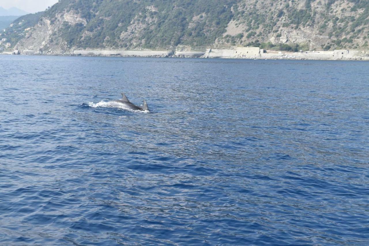 Tavernetta 109 Terrazza Tra Le 5 Terre E Portofino Deiva Marina Extérieur photo